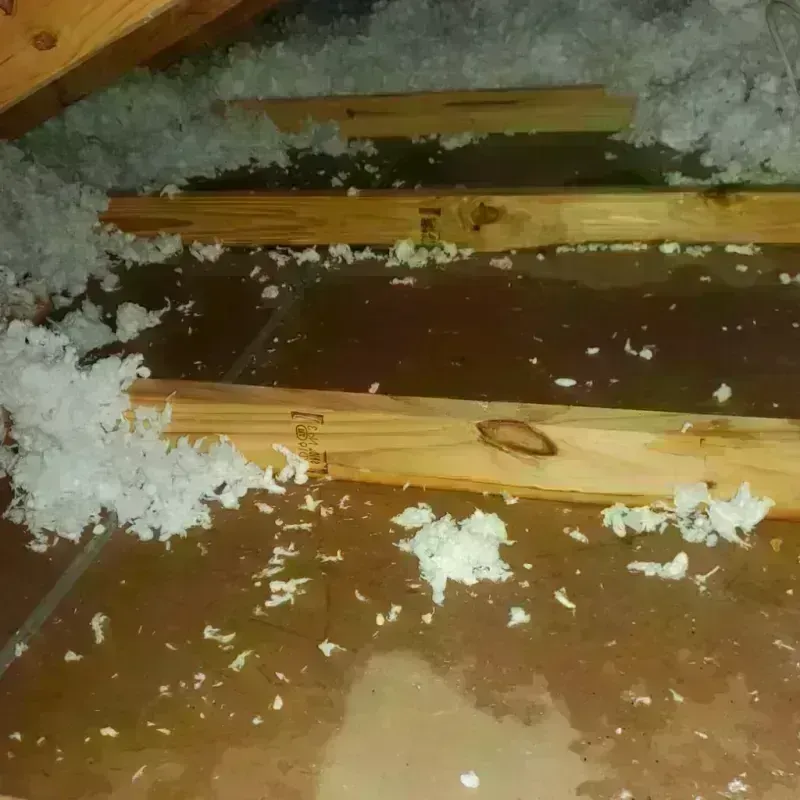 Attic Water Damage in Cranston, RI