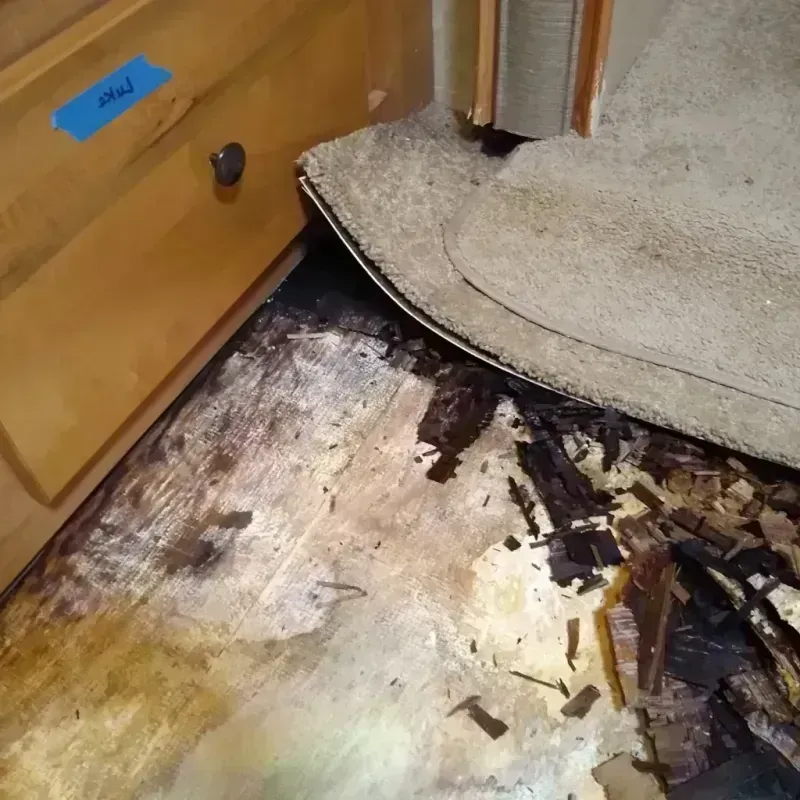 Wood Floor Water Damage in Cranston, RI